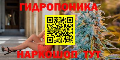 гашик Нальчик