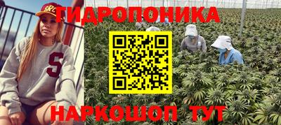 гашик Нальчик