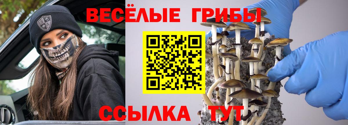 Псилоцибиновые грибы ЛСД Великие Луки
